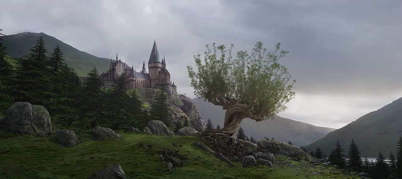 About Hogwarts 5