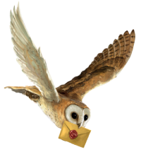 Flight Object